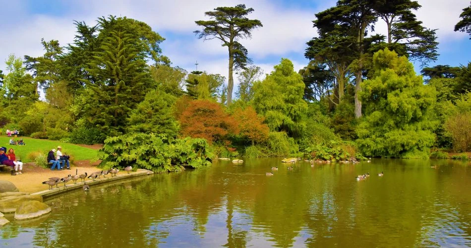 Top 7 Things to Do in San Francisco