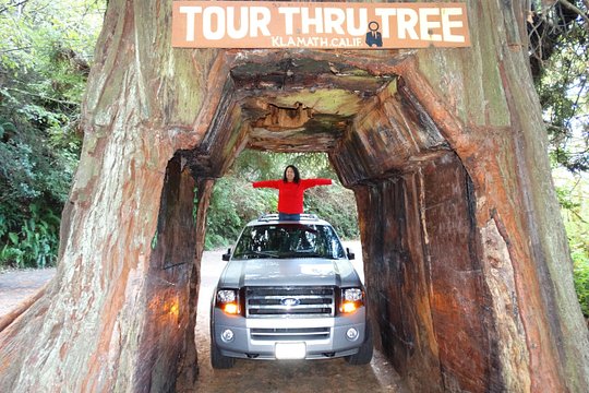 Tour image 2